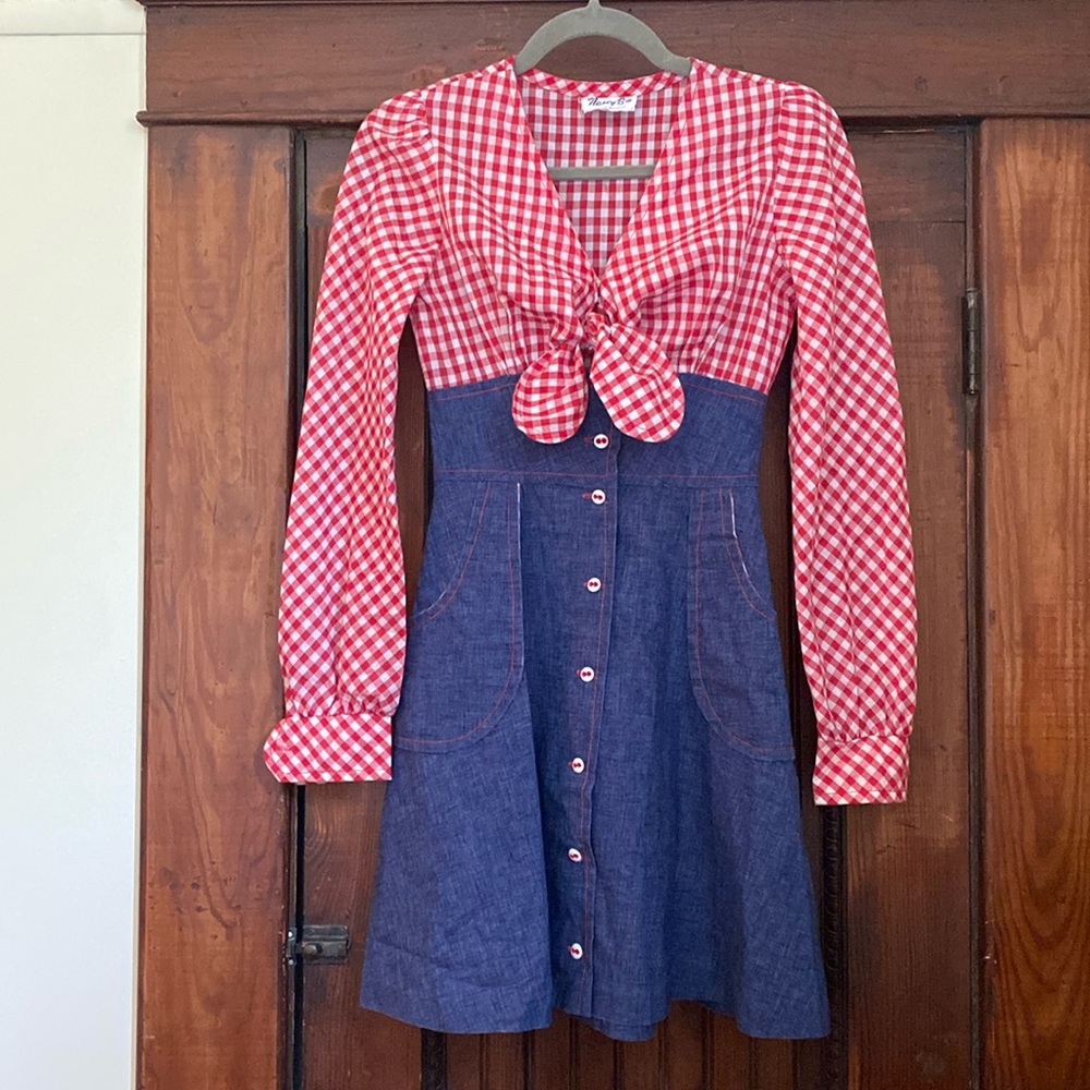 1970s vintage dress by Nancy Bs of California